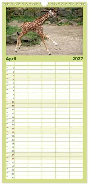 Produktbild: Familienplaner 2027 - Kleine Schelme - Tierbabys mit 5 Spalten (Wandkalender, 21 x 45 cm) CALVENDO