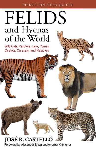 Produktbild: Felids and Hyenas of the World
