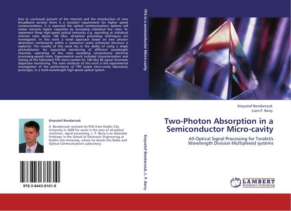 Produktbild: Two-Photon Absorption in a Semiconductor Micro-cavity