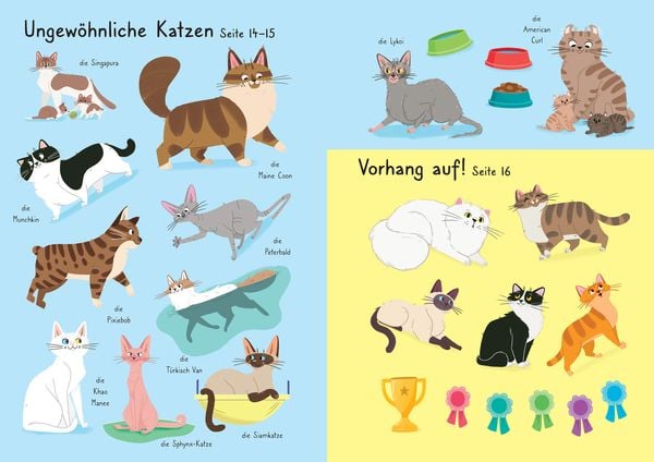 Mein Immer-wieder-Stickerbuch: Meine liebsten Katzen
