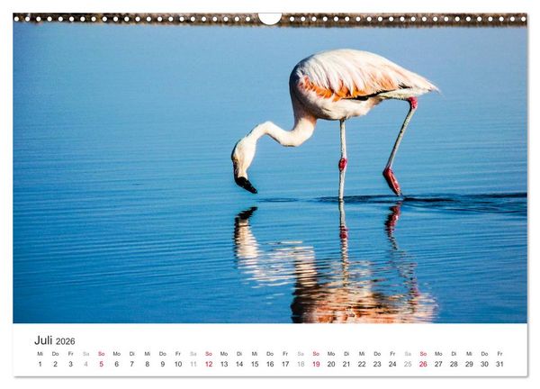 Produktbild: Chile - Land voller Kontraste (Wandkalender 2026 DIN A3 quer), CALVENDO Monatskalender