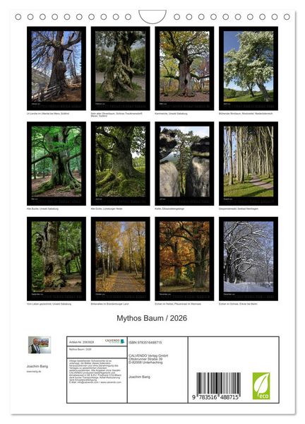 Produktbild: Mythos Baum / 2026 (Wandkalender 2026 DIN A4 hoch), CALVENDO Monatskalender