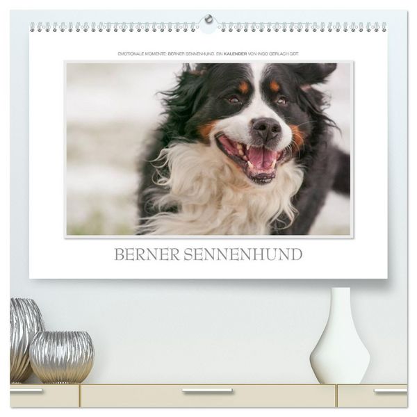 Produktbild: Emotionale Momente: Berner Sennenhund. (hochwertiger Premium Wandkalender 2026 DIN A2 quer), Kunstdruck in Hochglanz