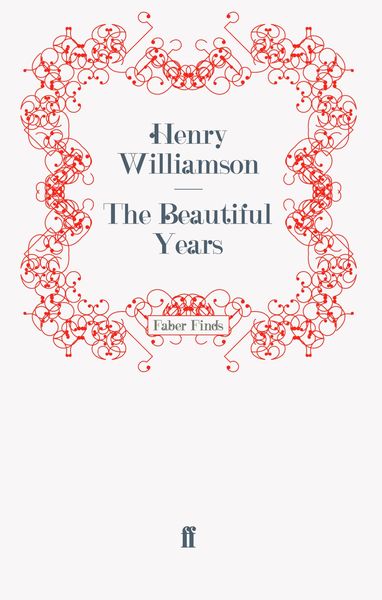 Produktbild: The Beautiful Years