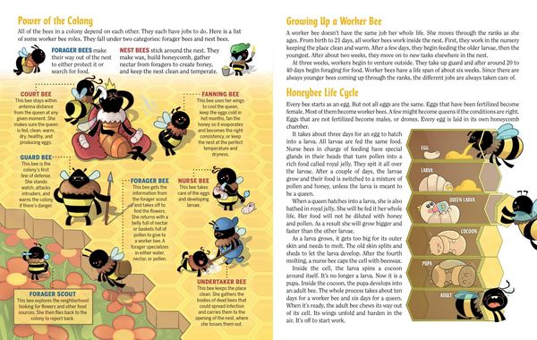 Produktbild: Turn This Book Into a Beehive!