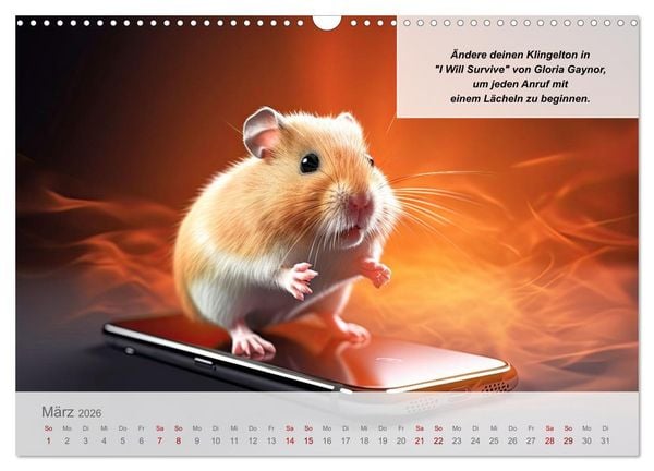 Produktbild: Endlich erfolgreich geschieden (Wandkalender 2026 DIN A3 quer), CALVENDO Monatskalender