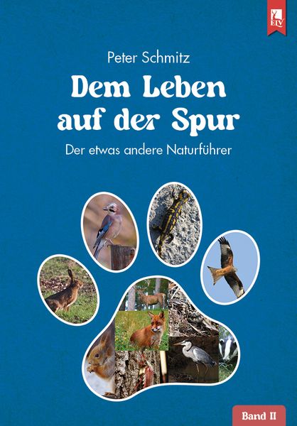 Produktbild: Dem Leben auf der Spur &ndash; Band 2