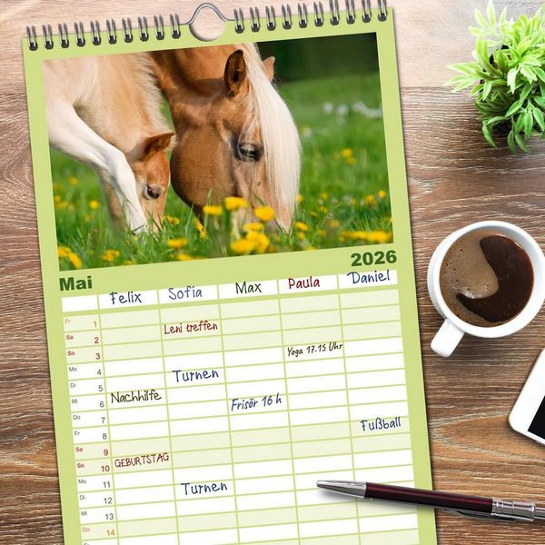 Produktbild: Familienplaner 2026 - Haflinger Fohlen mit 5 Spalten (Wandkalender, 21 x 45 cm) CALVENDO
