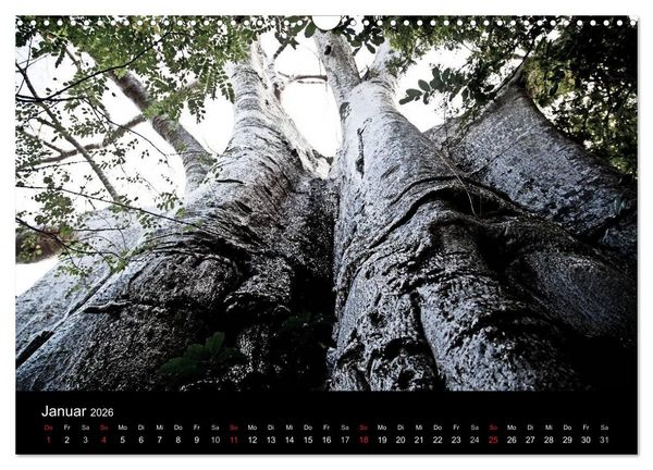 Produktbild: Malawi (Wandkalender 2026 DIN A3 quer), CALVENDO Monatskalender