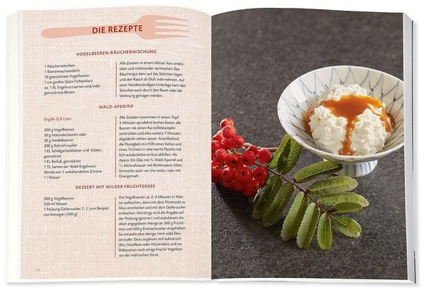 Produktbild: Die Wildpflanzen-Apotheke