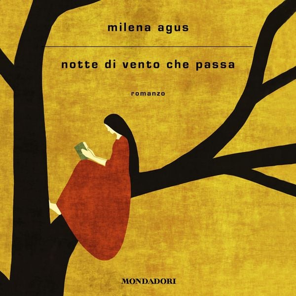 Produktbild: Notte di vento che passa