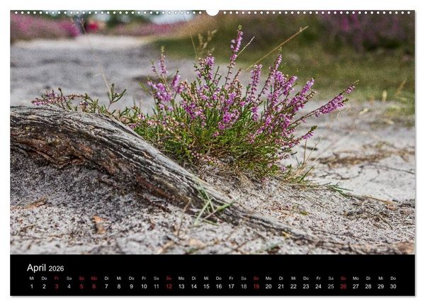Produktbild: L&uuml;neburger Heide (hochwertiger Premium Wandkalender 2026 DIN A2 quer), Kunstdruck in Hochglanz