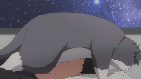 Produktbild: Tada Never Falls in Love Vol. 1 (Ep.1-4) im Sammelschuber