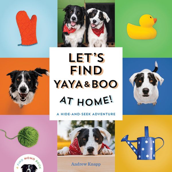 Produktbild: Let's Find Yaya and Boo at Home!