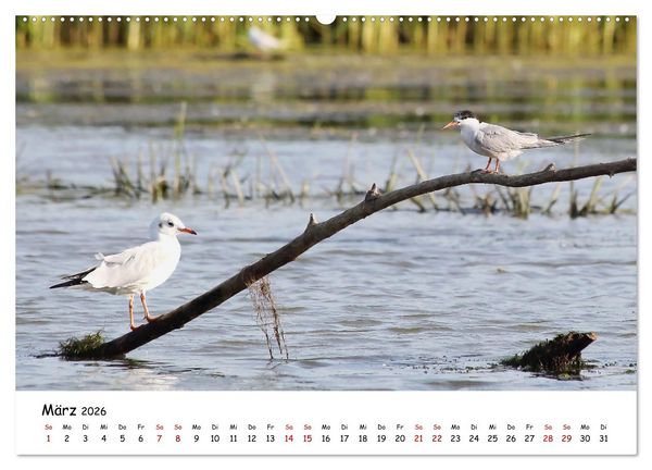 Produktbild: Eine Reise ins magische Donaudelta (Wandkalender 2026 DIN A2 quer), CALVENDO Monatskalender