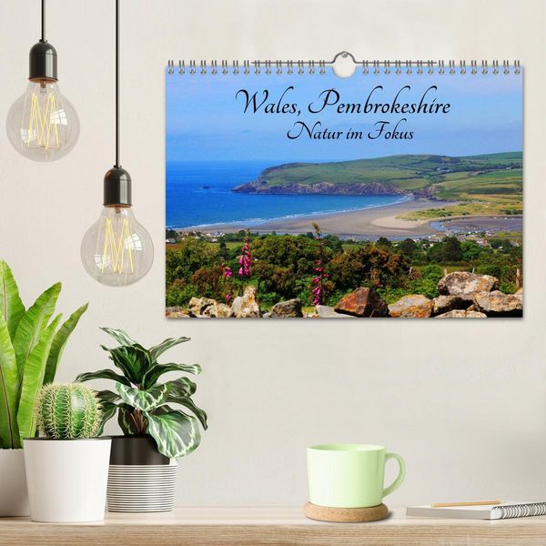 Produktbild: Wales Pembrokeshire - Natur im Fokus- (Wandkalender 2026 DIN A4 quer), CALVENDO Monatskalender