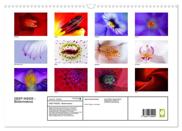 Produktbild: DEEP INSIDE - Bl&uuml;tenmakros (Wandkalender 2026 DIN A3 quer), CALVENDO Monatskalender