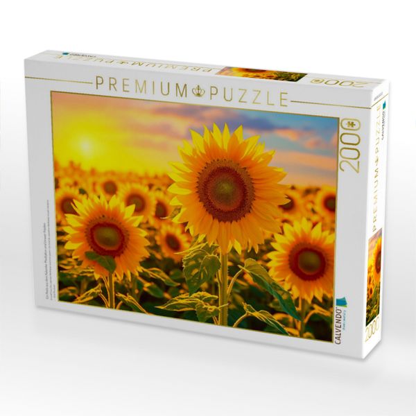 Produktbild: CALVENDO Puzzle Ein Motiv aus dem Kalender Meditation und innerer Frieden | 2000 Teile Lege-Gr&ouml;&szlig;e 90x67cm Foto-Puzzle f&uuml;r gl&uuml;ckliche Stunden
