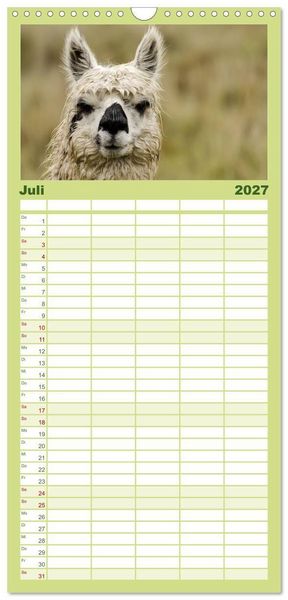 Produktbild: Familienplaner 2027 - Unter Lamas und Alpakas mit 5 Spalten (Wandkalender, 21 x 45 cm) CALVENDO