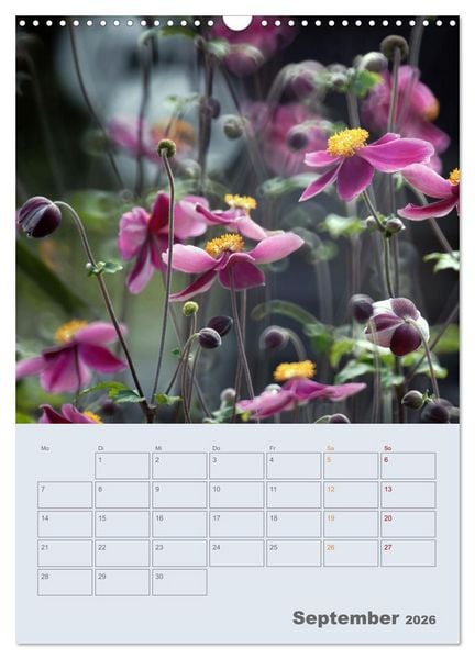 Produktbild: Magie im Garten (Wandkalender 2026 DIN A3 hoch), CALVENDO Monatskalender