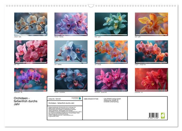 Produktbild: Orchideen - farbenfroh durchs Jahr (Wandkalender 2026 DIN A2 quer), CALVENDO Monatskalender