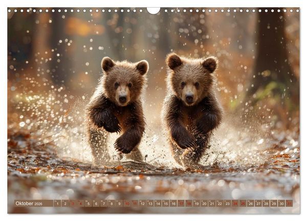 Produktbild: Wildes B&auml;renland (Wandkalender 2026 DIN A3 quer), CALVENDO Monatskalender