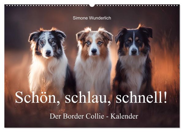 Produktbild: Sch&ouml;n, schlau, schnell! - Der Border Collie - Kalender (Wandkalender 2026 DIN A2 quer), CALVENDO Monatskalender