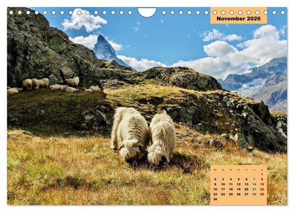 Produktbild: WANDERN &uuml;ber Stock und Stein in der Schweiz (Wandkalender 2026 DIN A4 quer), CALVENDO Monatskalender