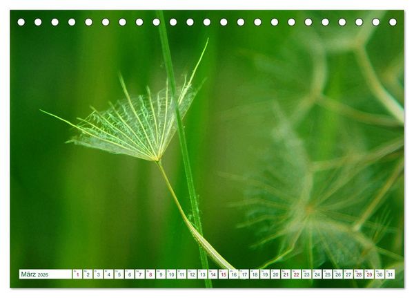 Produktbild: GR&Uuml;N . Die Kraft der Natur (Tischkalender 2026 DIN A5 quer), CALVENDO Monatskalender