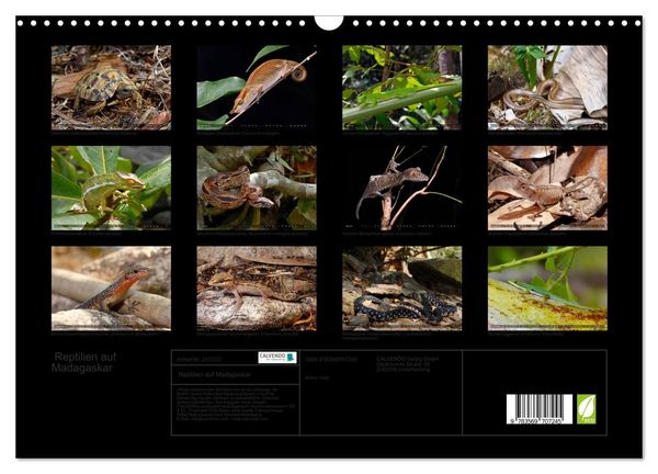 Produktbild: Reptilien auf Madagaskar (Wandkalender 2027 DIN A3 quer), CALVENDO Monatskalender