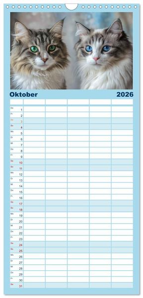 Produktbild: Familienplaner 2026 - Katzen Illustrationen - Faszination pur mit 5 Spalten (Wandkalender, 21 x 45 cm) CALVENDO