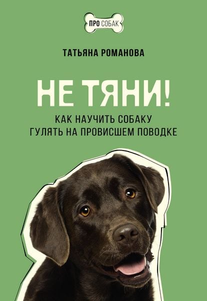 Produktbild: Ne tyani! Kak nauchit sobaku gulyat na provisshem povodke