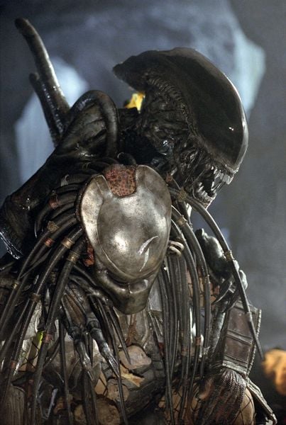 Produktbild: Alien vs. Predator