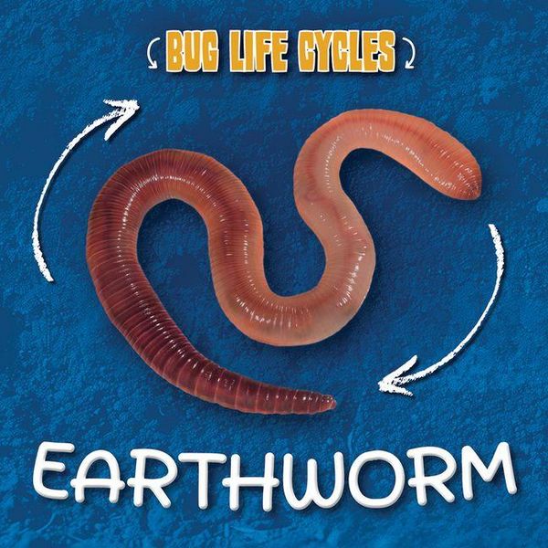 Produktbild: Earthworm