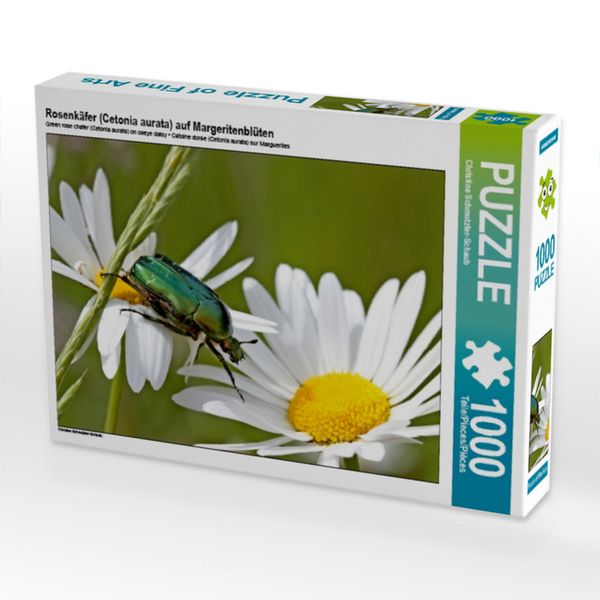 Produktbild: CALVENDO Puzzle Rosenk&auml;fer (Cetonia aurata) auf Margeritenbl&uuml;ten | 1000 Teile Lege-Gr&ouml;&szlig;e 64x48cm Foto-Puzzle f&uuml;r gl&uuml;ckliche Stunden