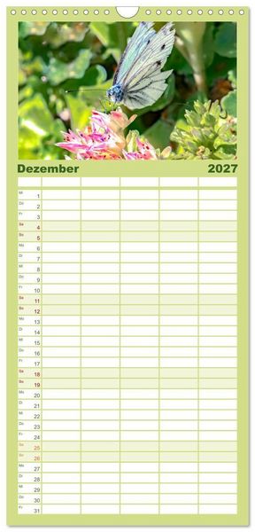 Produktbild: Familienplaner 2027 - INSEKTEN - Makrofotografie in freier Natur mit 5 Spalten (Wandkalender, 21 x 45 cm) CALVENDO