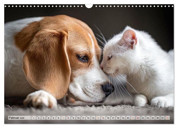 Produktbild: Hund und Katze - Tierische Freunde (Wandkalender 2026 DIN A3 quer), CALVENDO Monatskalender