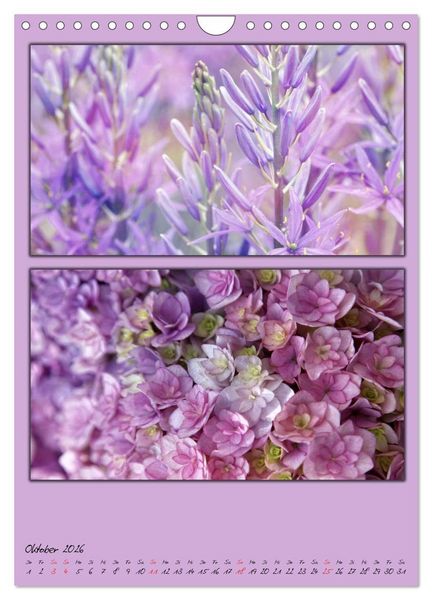 Produktbild: Farbtupferl der Natur (Wandkalender 2026 DIN A4 hoch), CALVENDO Monatskalender