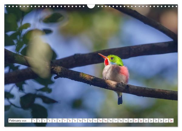 Produktbild: Birds of Cuba Island (Wall Calendar 2026 DIN A3 landscape), CALVENDO 12 Month Wall Calendar
