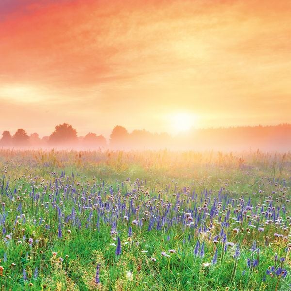Produktbild: Die Sonne geht auf / Sunrise 2027
