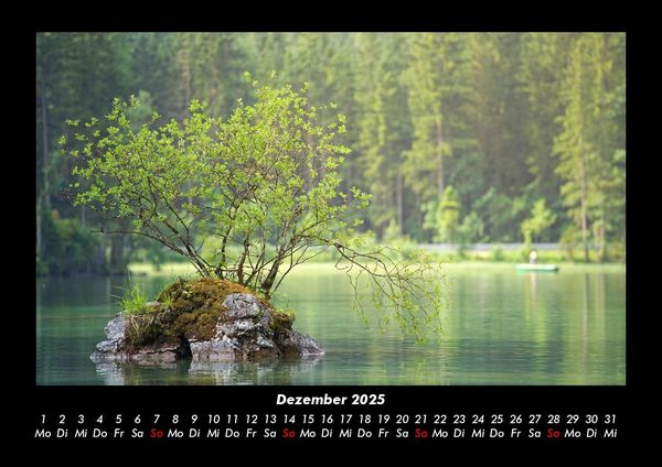 Produktbild: B&auml;ume 2025 Fotokalender DIN A3