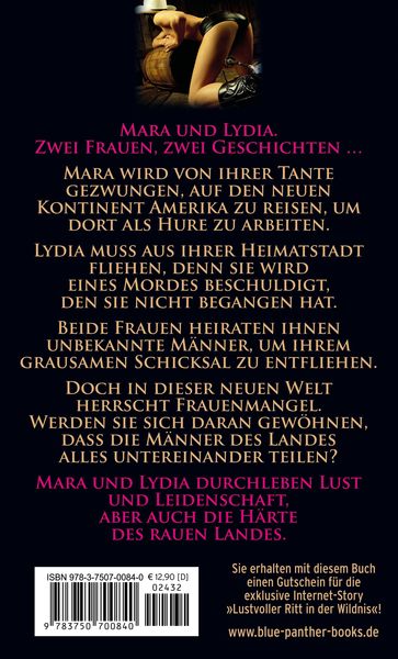 Produktbild: Die harte Lust des wilden Westens | Erotische Geschichten