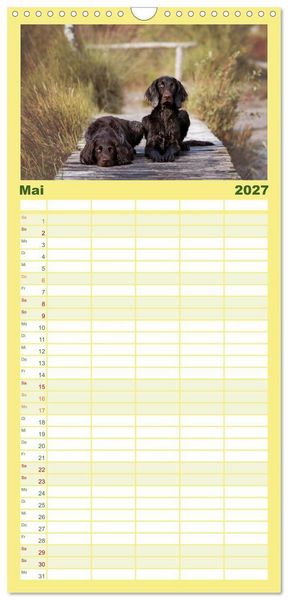 Produktbild: Familienplaner 2027 - Passion Jagdhund - Deutsch Langhaar mit 5 Spalten (Wandkalender, 21 x 45 cm) CALVENDO