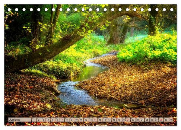 Produktbild: Leise durch den Wald. Sich Zeit nehmen und der Stille lauschen (Tischkalender 2026 DIN A5 quer), CALVENDO Monatskalender