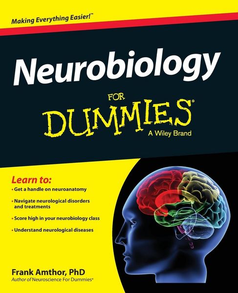 Produktbild: Neurobiology For Dummies