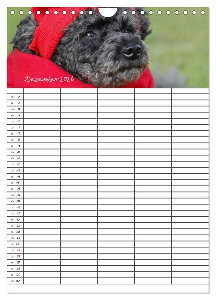 Produktbild: Der Pudel-Familienplaner (Wandkalender 2026 DIN A4 hoch), CALVENDO Monatskalender