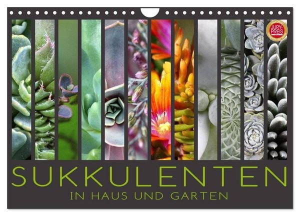 Produktbild: Sukkulenten in Haus und Garten (Wandkalender 2026 DIN A4 quer), CALVENDO Monatskalender