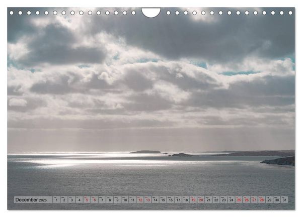Produktbild: In the Falkland Islands (Wall Calendar 2026 DIN A4 landscape), CALVENDO 12 Month Wall Calendar