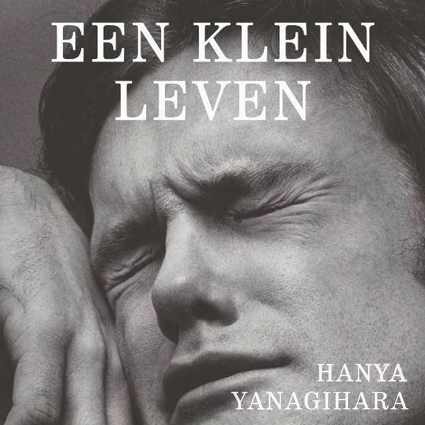 Produktbild: Een klein leven