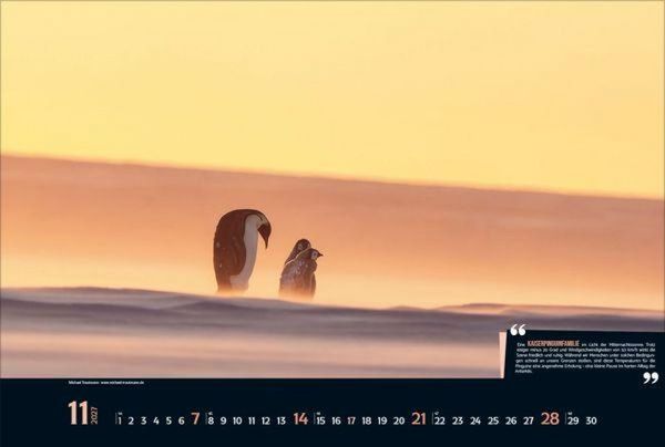 Produktbild: Expedition Antarktis 2027